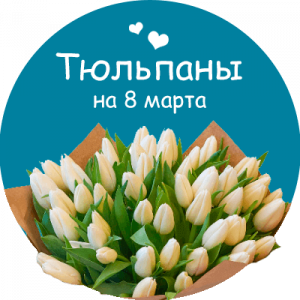 Купить тюльпаны в Новокузнецке